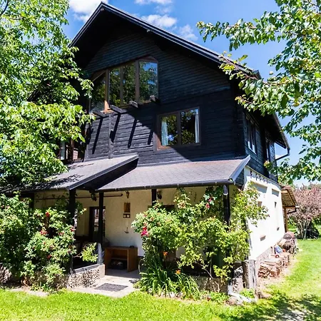Silva - In The Heart Of Bran, Next To The Castle W/ Free Parking Tatil Evi *