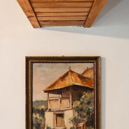 Silva - In The Heart Of Bran, Next To The Castle W/ Free Parking *