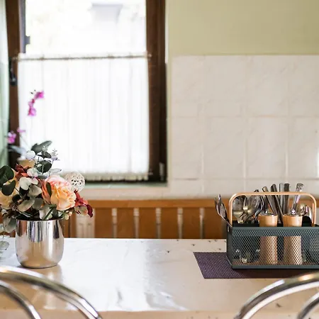 Silva - In The Heart Of Bran, Next To The Castle W/ Free Parking Tatil Evi
